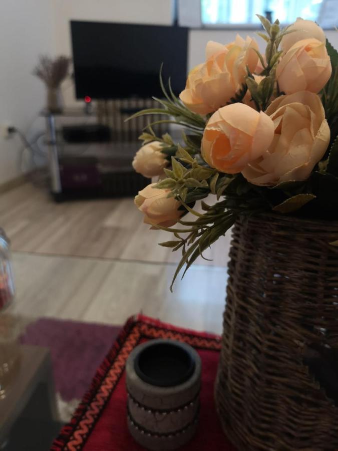 Deea Apartament Apartment ไกรโอวา ภายนอก รูปภาพ